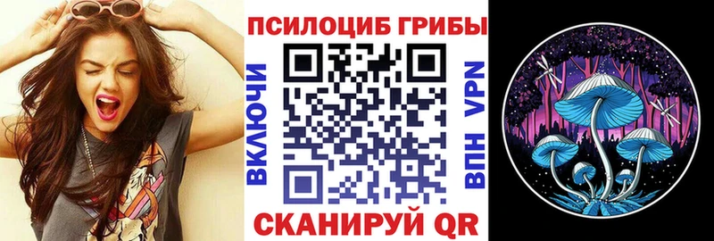shop наркотические препараты  МЕГА ССЫЛКА  Игарка  Псилоцибиновые грибы мухоморы 